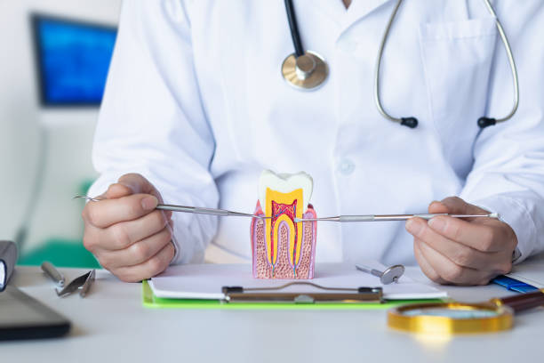Best Emergency Dentist for Special Needs Patients in Stuarts Draft, VA